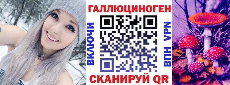 Псилоцибиновые грибы мицелий Черняховск